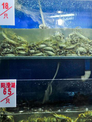 蓉大闸蟹价格迎10年来首降 最低10元