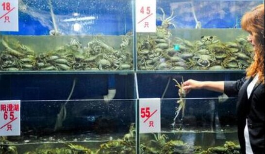 成都大闸蟹迎10年来首次降价 最低10元一只