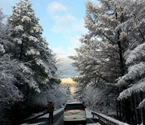 神农架降雪致雾凇景观