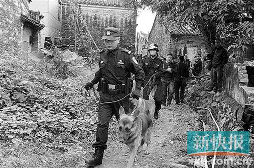 多警种出动搜山