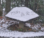 武陵源迎2014年冬首雪