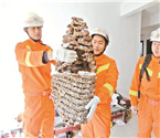 小區(qū)高樓外現(xiàn)巨型馬蜂窩