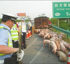 货车平安夜侧翻 6交警内宜高速赤手擒二师兄