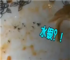 孕婦吃肥腸現(xiàn)水銀珠