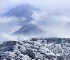 冬季到梵净山来看雪