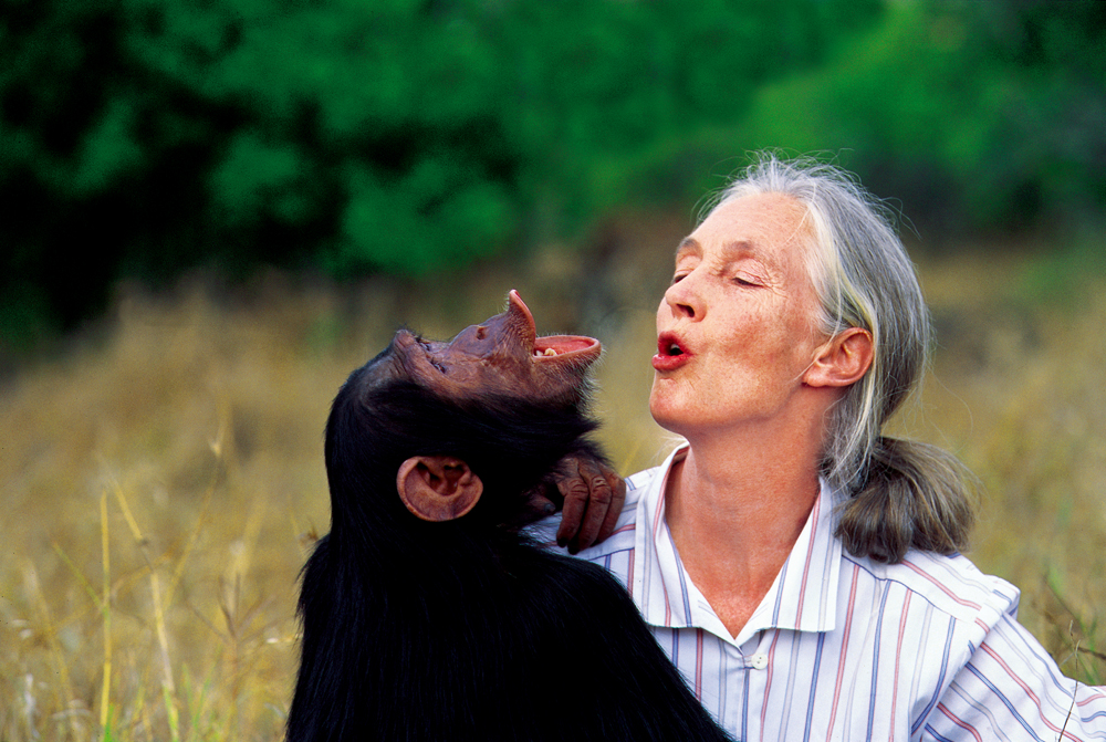 珍妮·古道尔:惟有帮助才能都被拯救(图)