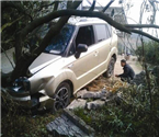 男子錯(cuò)把油門當(dāng)剎車