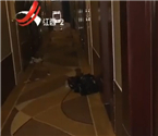 男女開房雙雙身亡