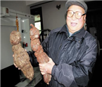 孝昌老中醫(yī)挖到何首烏