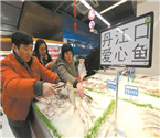 江城熱賣丹江口愛(ài)心魚(yú)
