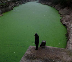 三峡移民重镇水质污染
