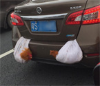 高速現(xiàn)一車拖兩雞