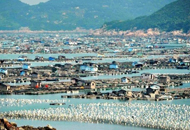 图揭中国漂浮城市