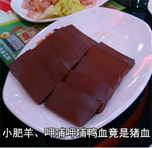 小肥羊、呷哺呷哺鸭血竟是猪血