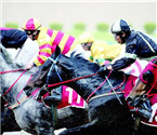 武漢速度賽馬公開賽舉行 