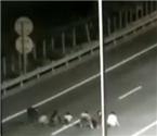 熊孩子夜間高速路上賽跑
