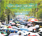 江城71万人冒雨祭扫