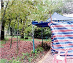 市民為嘗鮮挖公園竹筍 