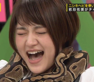 日本女星上节目被恶搞 遭蛇缠脖吓Cry