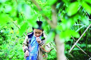 想吃水果只能上山采野果