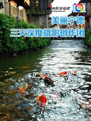 快来报名宁德3天游摄影创作团