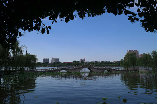 曲桥漾波仿若画卷