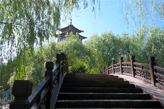 郁郁葱葱的枝叶上,露出解放阁一角