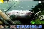 女模特遭兩兄弟殘殺裝袋拋尸河中 露出慘白雙腳