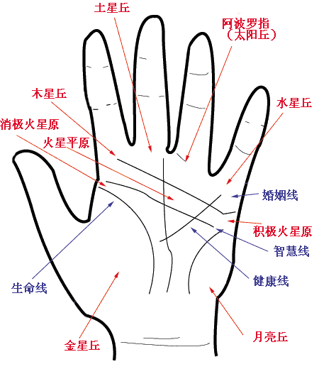 教程:占星学与手相学的联系(图)