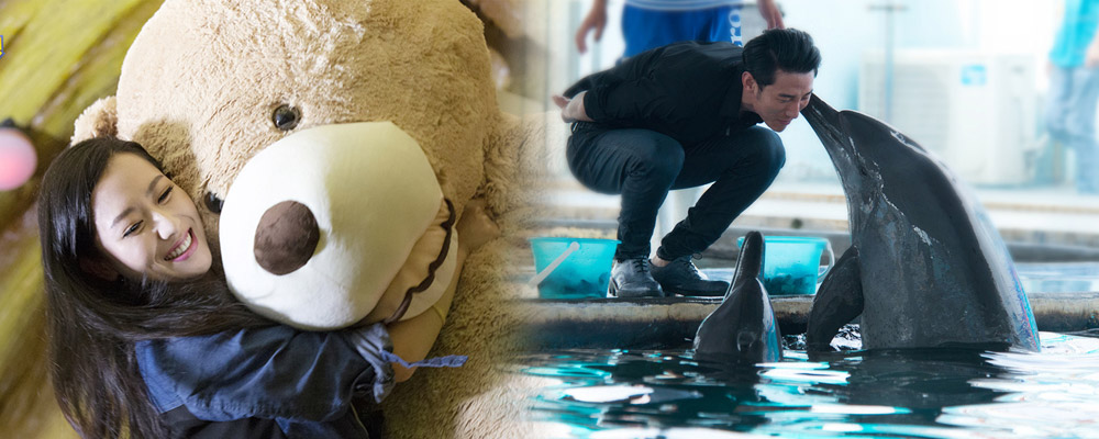 综艺节目_最新综艺节目资讯,综艺节目排行榜