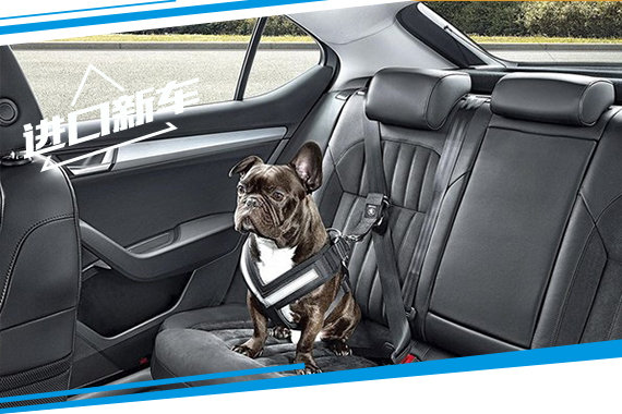 斯柯达于海外推出宠物配件 宠物出行助手