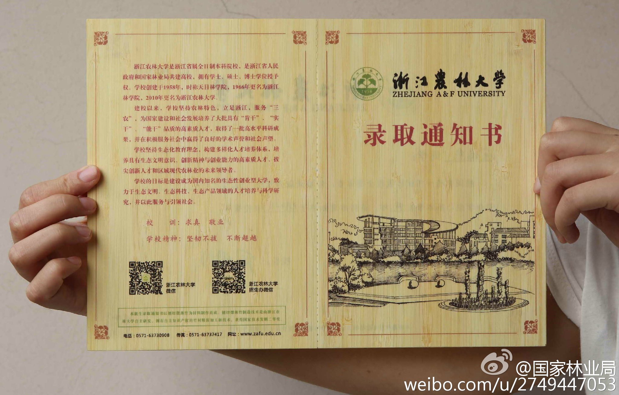 清新文艺范儿