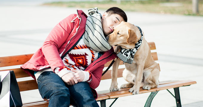 《神犬小七》金世佳小七上演恶作剧之吻