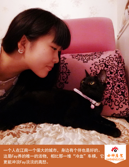 猫咪
