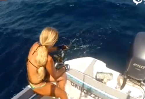实拍比基尼美女用钓鱼竿捕获巨鲨 好心放归大海