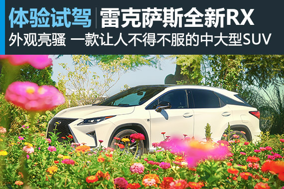 别说你不喜欢他 全新Lexus RX