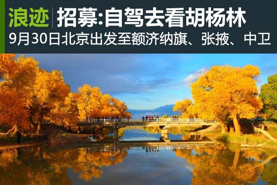 十一组团活动招募：自驾去看胡杨林