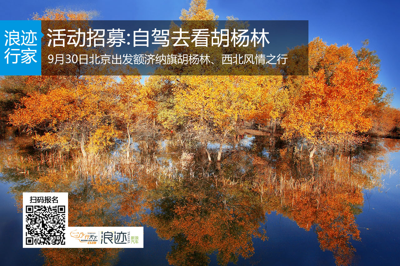 十一组团活动招募：自驾去看胡杨林
