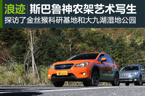 斯巴鲁“31座森林星之旅”神农架艺术写生