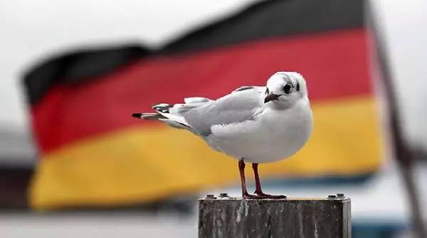 没人在乎文德恩去留 担心回到德国假冒时代