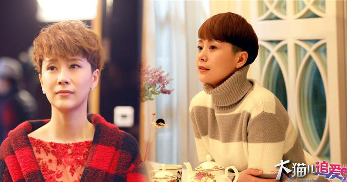 《大猫儿追爱记》海清演绎职场萌猫奋斗史