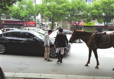 宝马乱鸣喇叭 真马受惊吓踹车