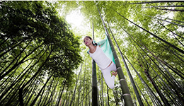 瑜伽达人竹林表演空中绝技