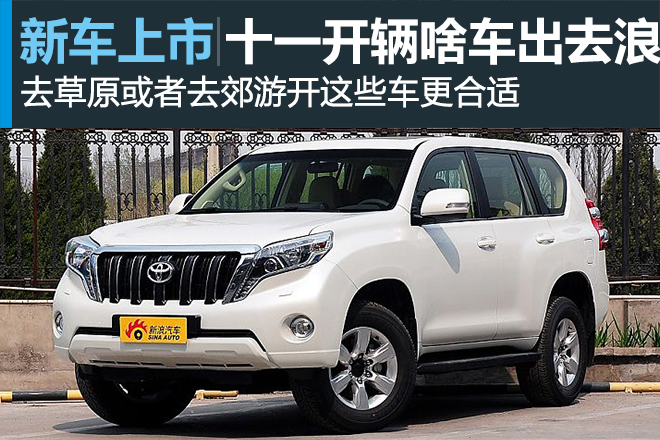 十一来了 看隔壁老王开辆啥车出去浪