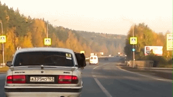 实拍俄司机开车载棕熊兜风 头伸窗外享受风景        狗主人带爱犬