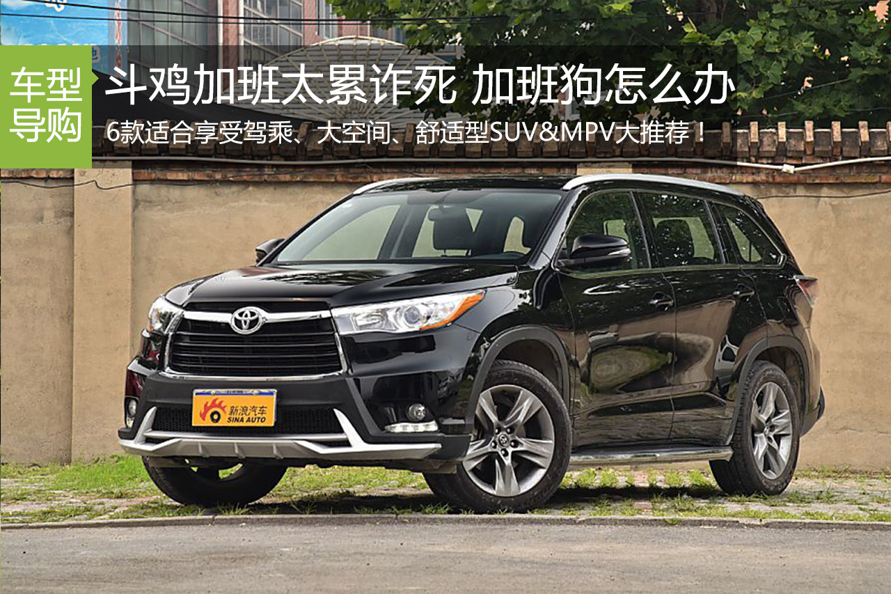 斗鸡加班太累诈死 不想像它一样该开啥车