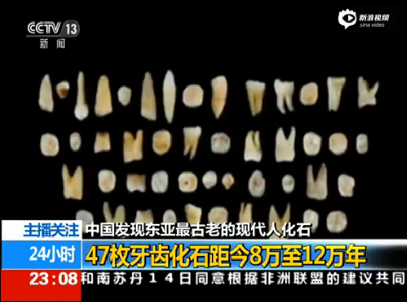 湖南发现东亚最古老现代人化石 距今至少8万年
