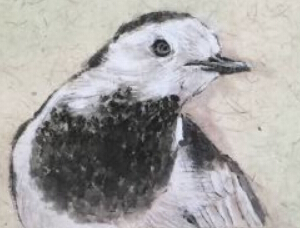 中国美协会员卡纸小品《鸟》1000起拍