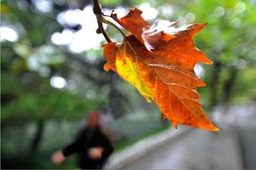 宁波头条新闻的微博