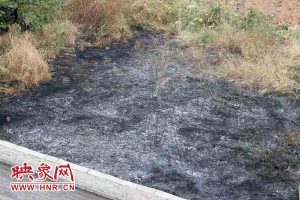 高壓線下的干草被燒著